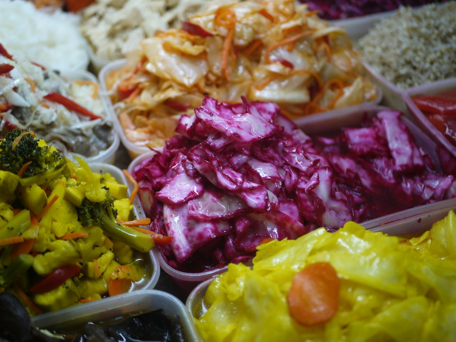 Så påverkar probiotika din tarmhälsa